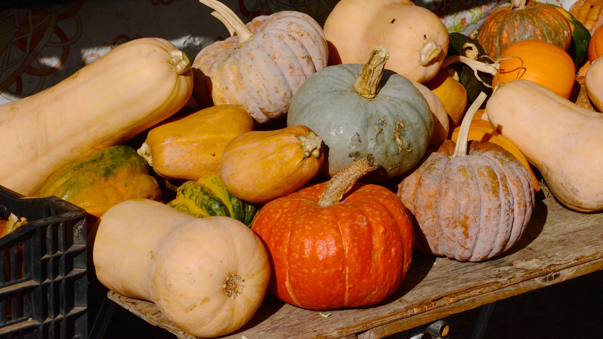 butternut squashes and pumpkins in a market