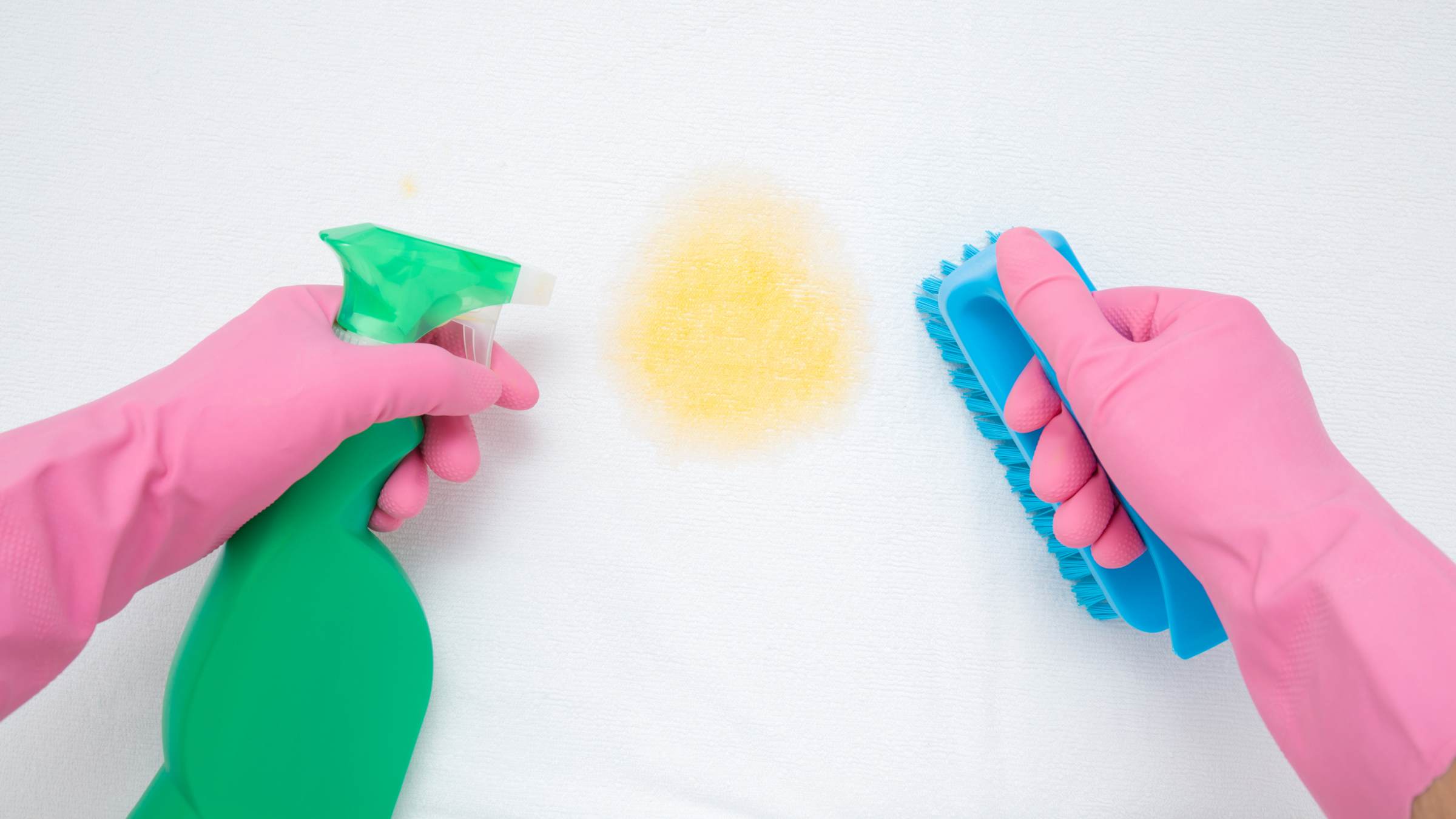 Cleaning stain with bio or non bio detergent