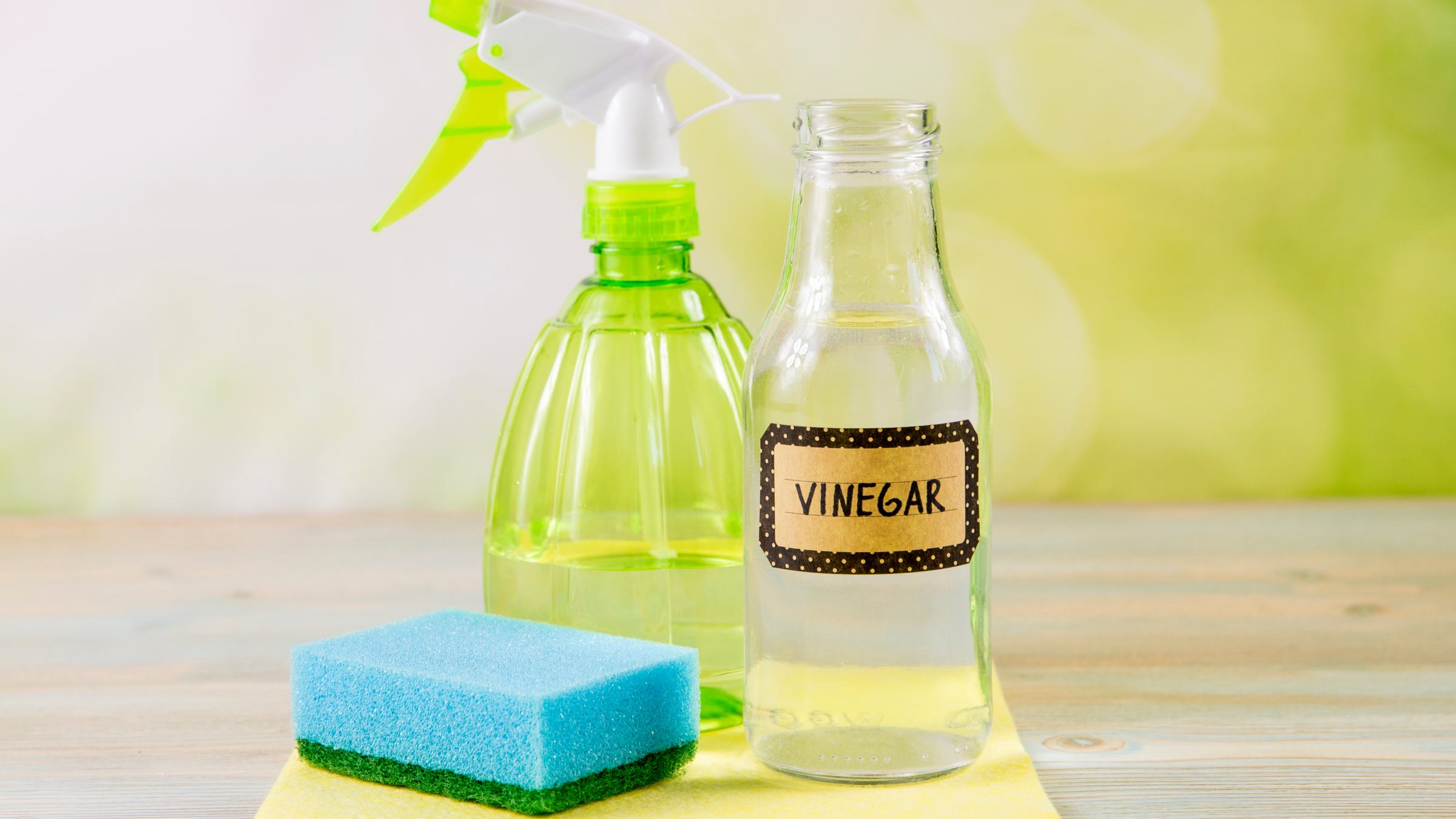 Which is more effective for cleaning, white wine vinegar or white vinegar