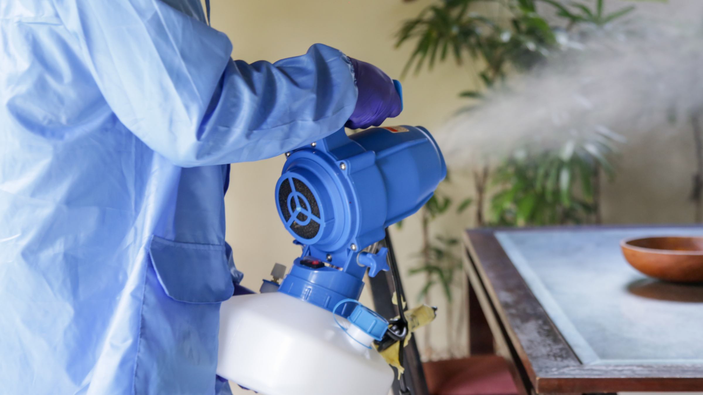 Pest control and removal options - Fumigation