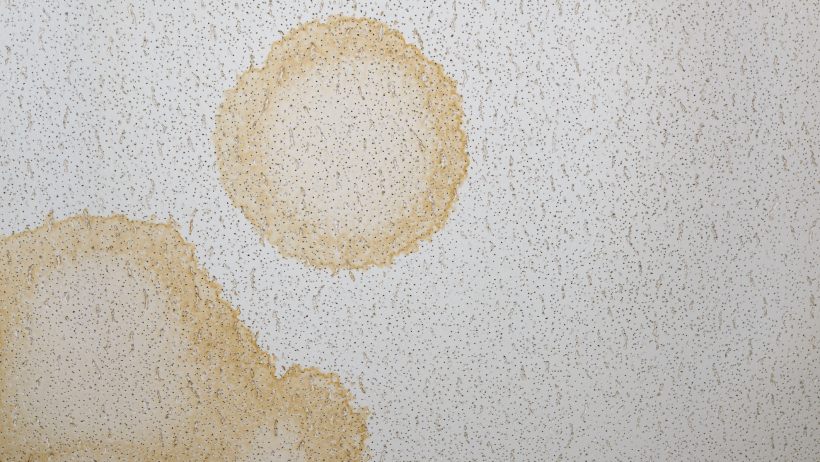 Water damage vs mold - What is a water damage