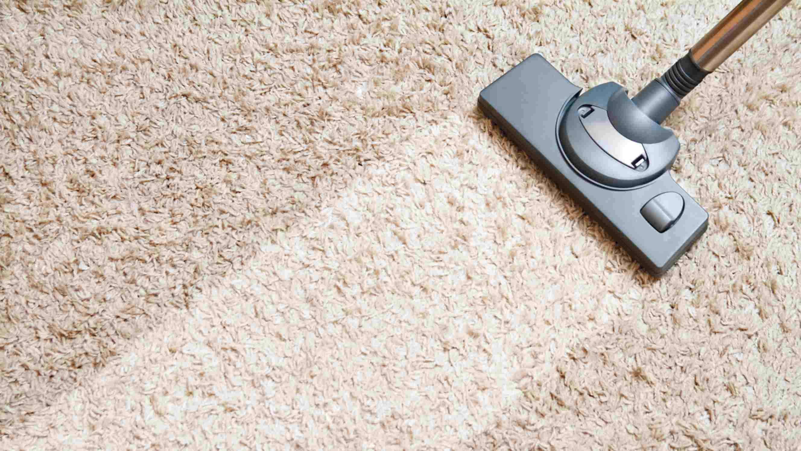 Steam cleaner vs. carpet cleaner - a person using a carpet cleaner to clean a beige carpet