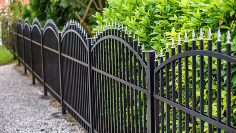 A black metal fence with ornate, curved designs stands in front of a vibrant green hedge. - fencing cost