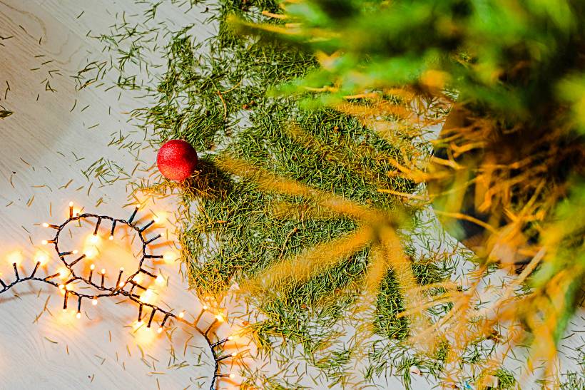 getting ready for the holidays - needles from a Christmas tree and a red ball lying on the floor