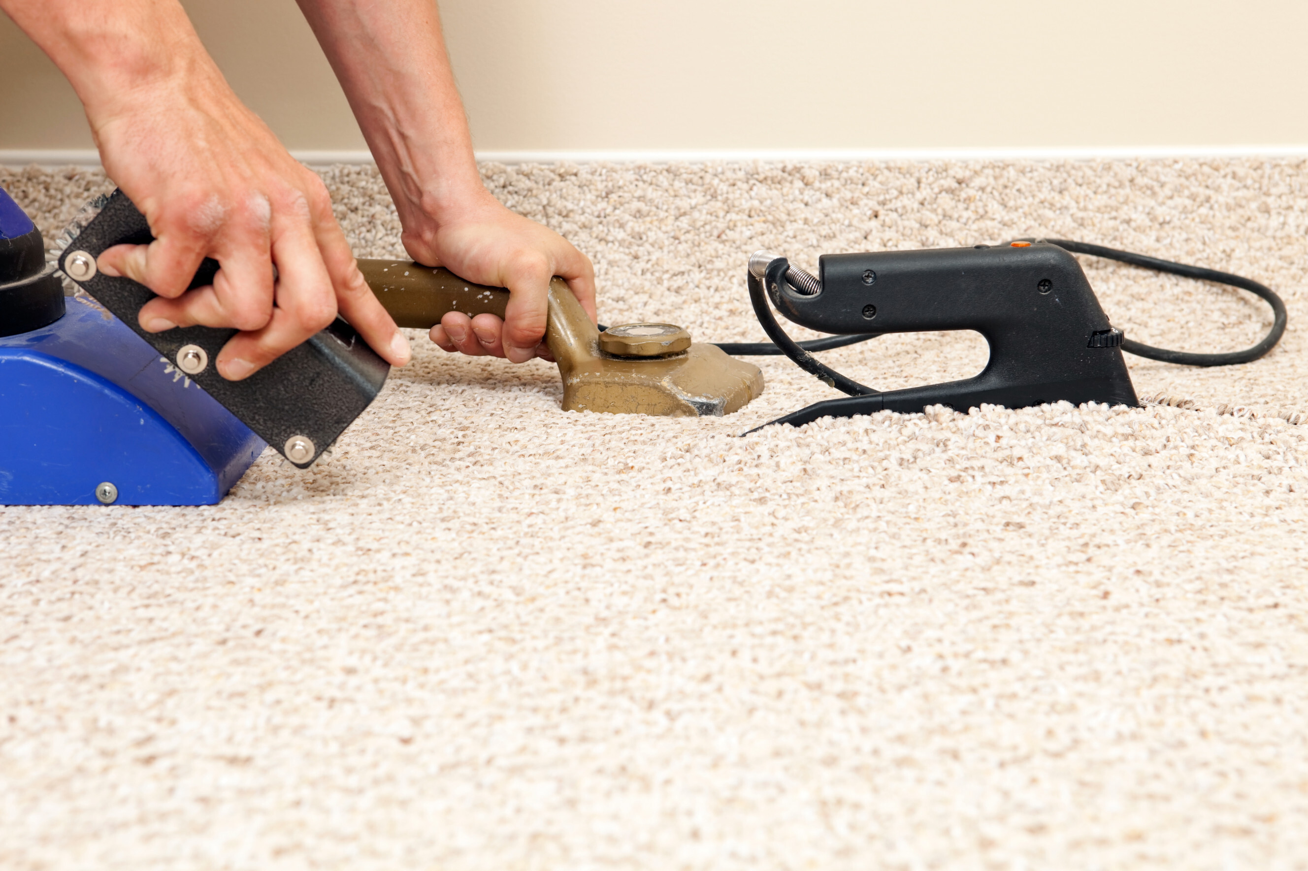 Professional carpet installer using specialised tools to stretch and secure a beige carpet in place, representing expert carpet laying services near you.