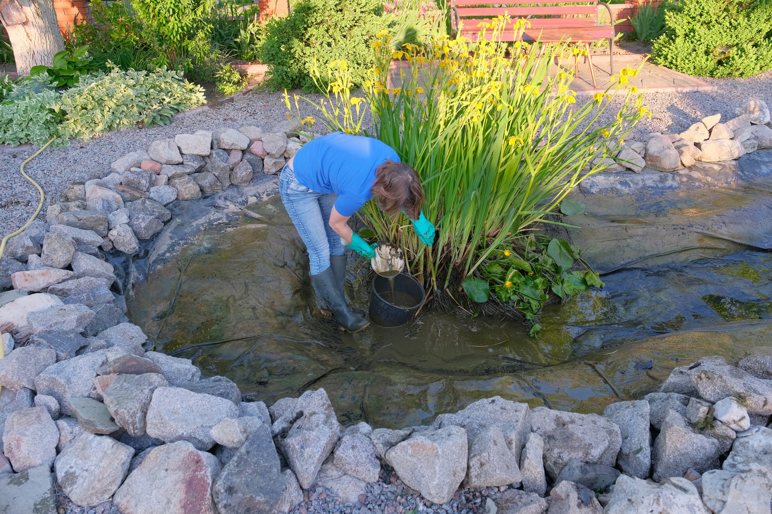 A garden pond maintenance expert cleaning a pond, removing debris and algae while wearing gloves and boots, surrounded by natural stones and aquatic plants, representing professional pond care services near you.