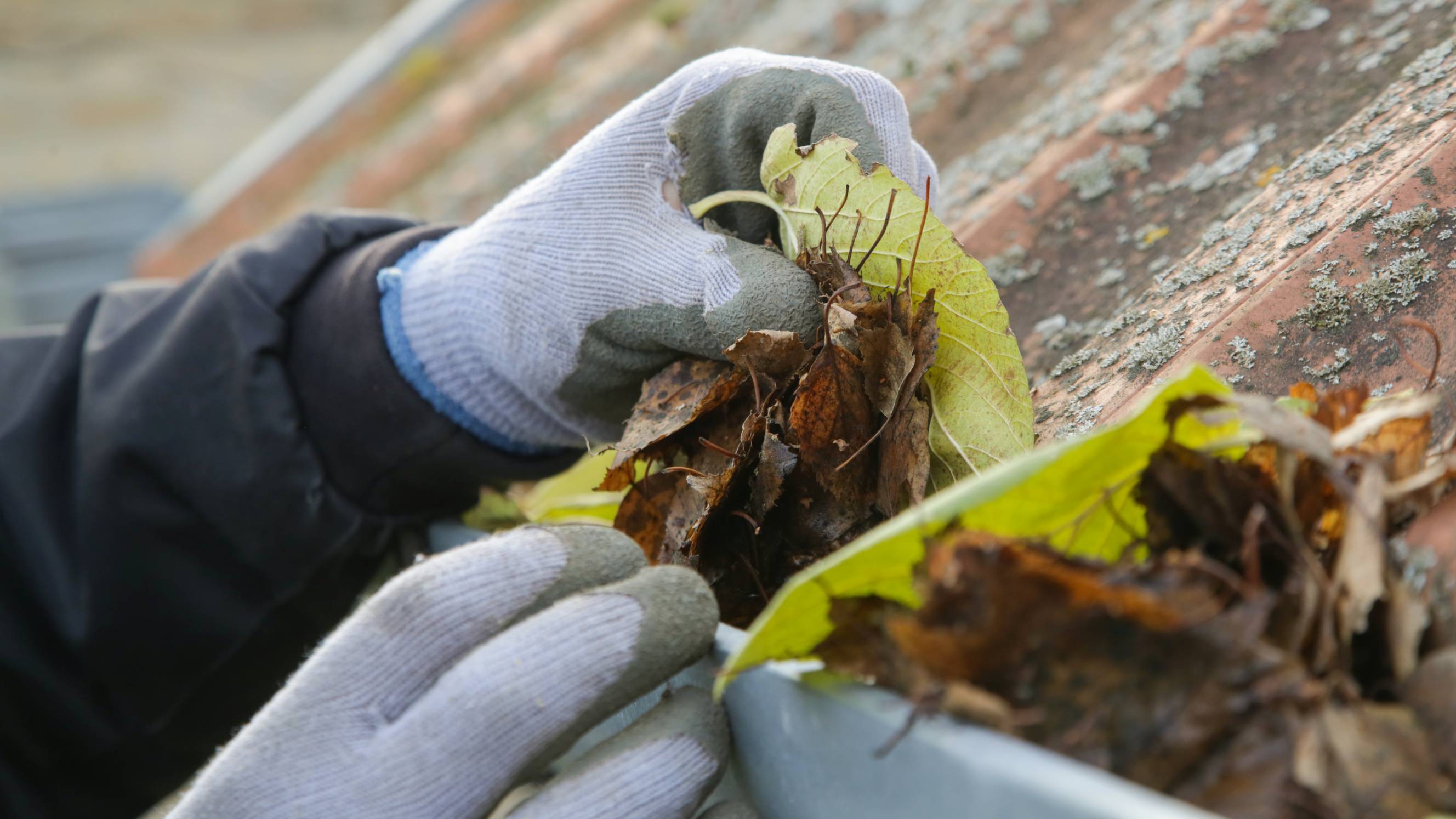 Roof gutter cleaning process