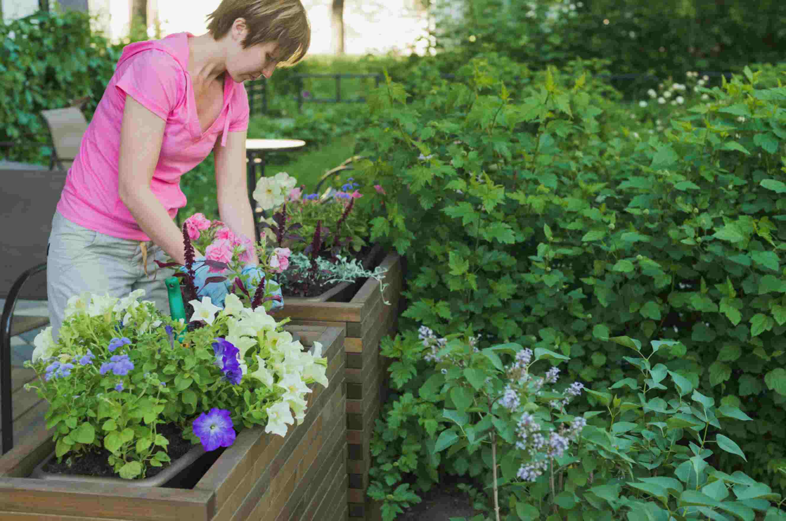 An expert arranging flowers in a landscaped garden, showcasing garden designers near you