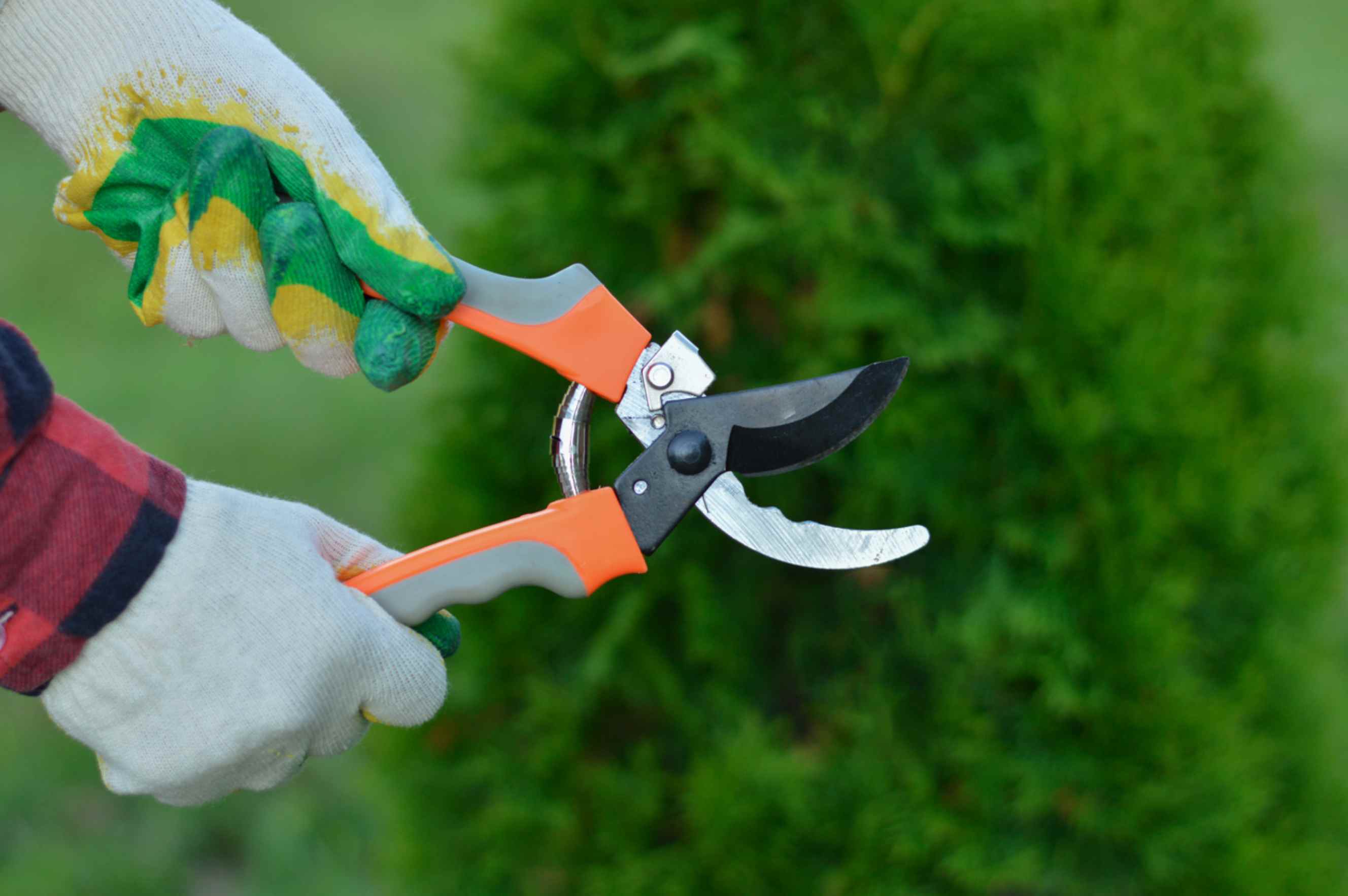 A person wearing gardening gloves holding pruning shears, representing garden tool repair near you