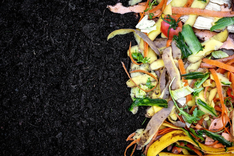 Organic kitchen scraps and vegetable peels on soil for composting. - compost vs fertilizer