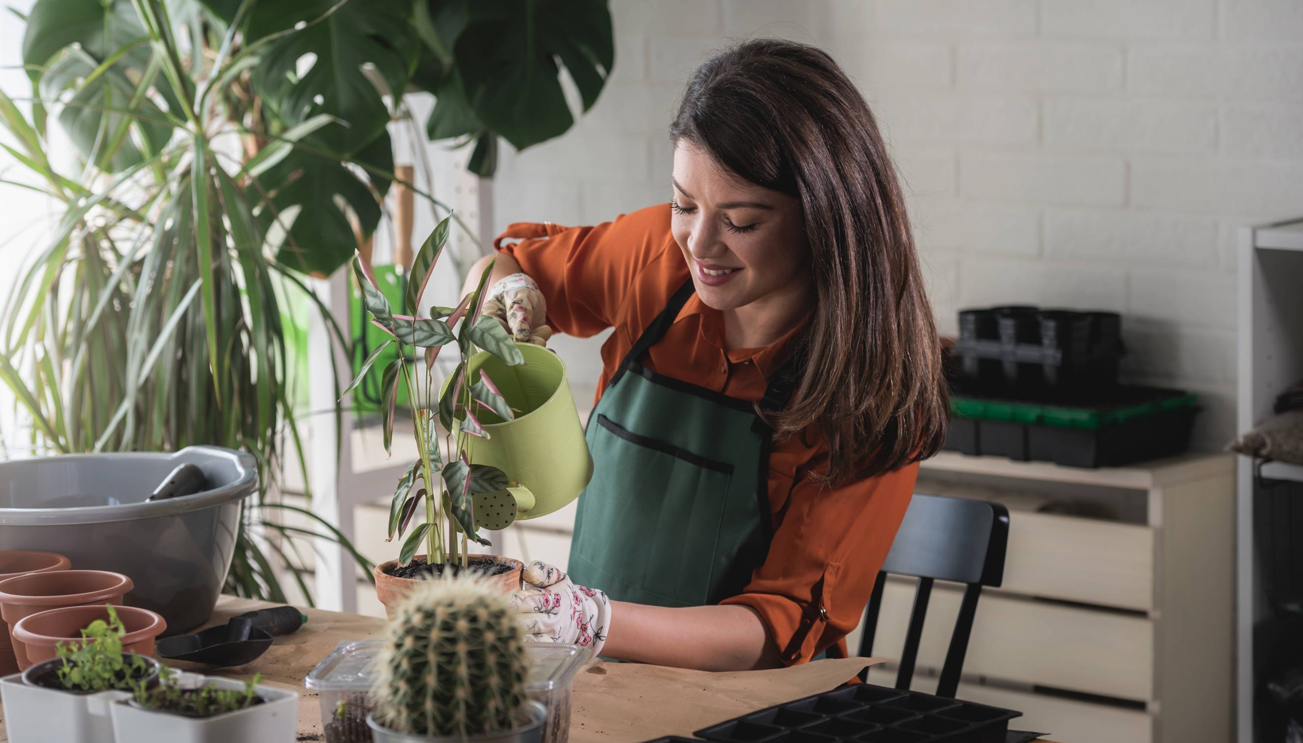 Plant sitter watering and looking after plants in a home