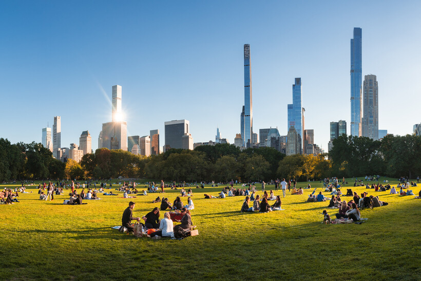 Groups of people sitting on the lawn in Central Park surrounded by trees. - moving to NYC