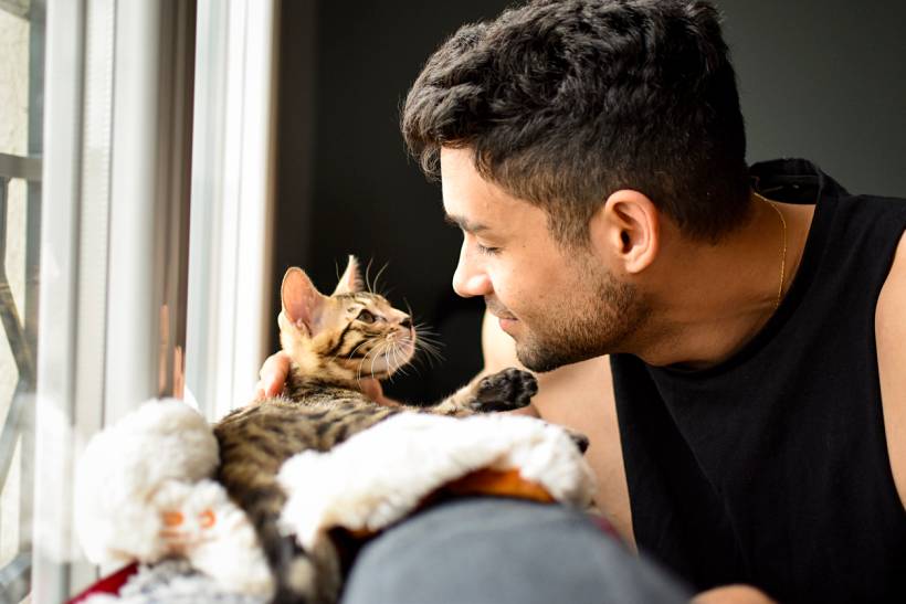 How Much Does a Cat Sitter Cost in the UK? [2026 Data] | Airtasker UK