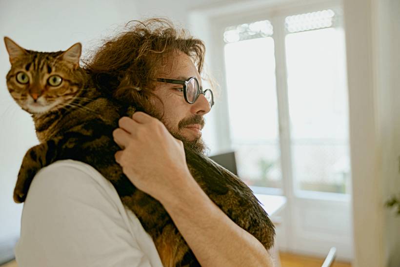 cat sitter cost - Man holding a tabby cat draped over his shoulders in a bright room