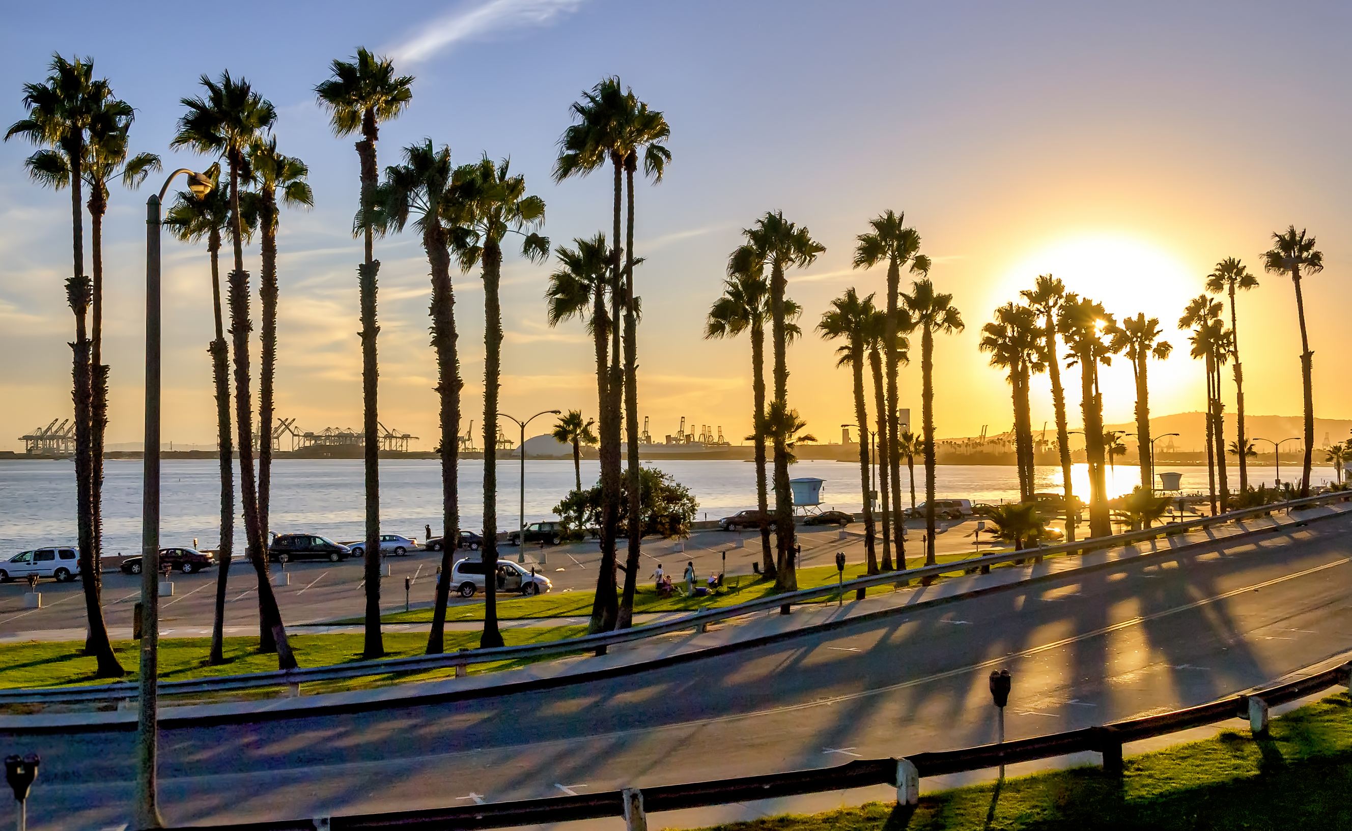 Long Beach beach sunset with palm tree silhouettes and coastal highway.