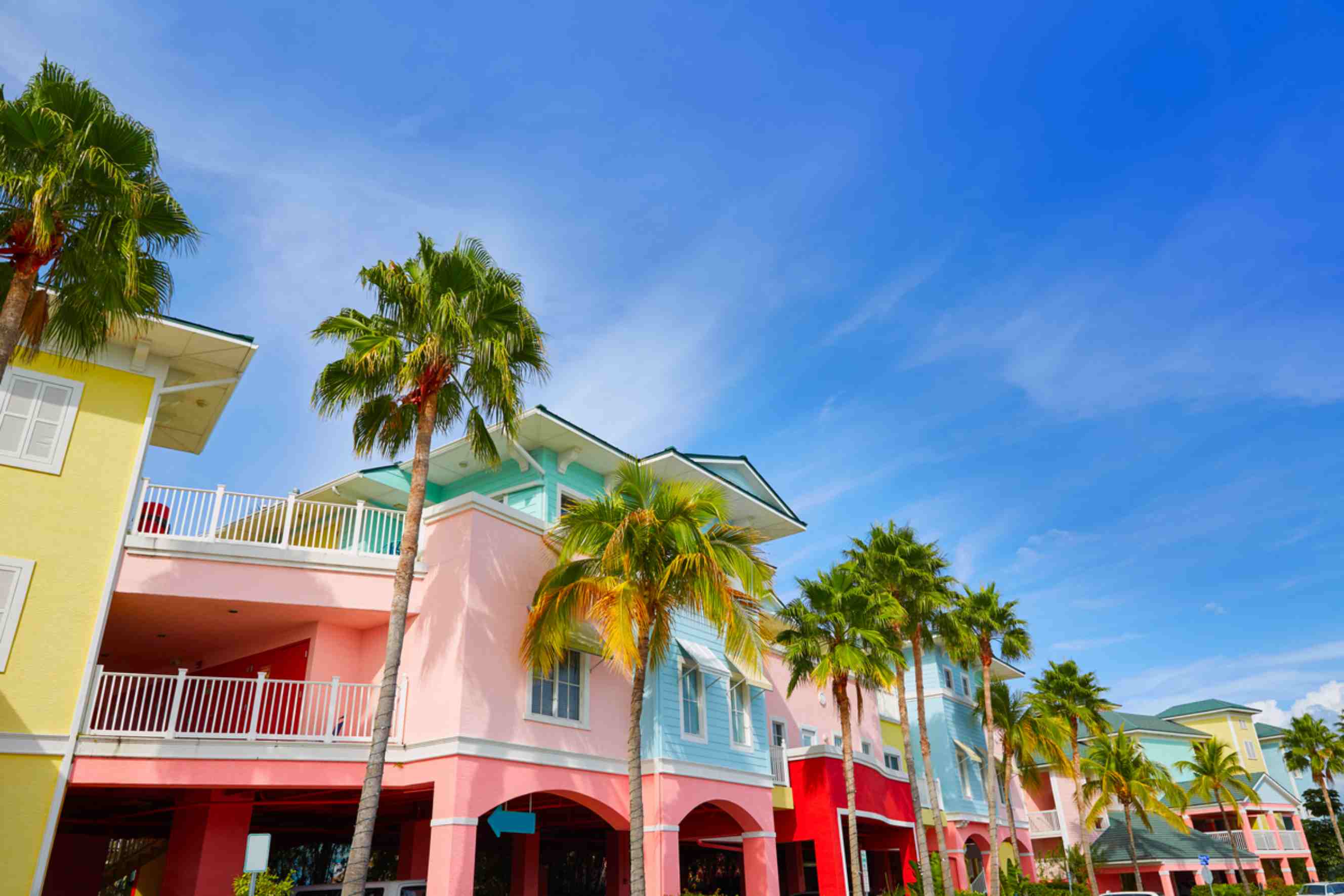 Palm-lined residential homes in Florida, highlighting a common destination for New York to Florida moving services