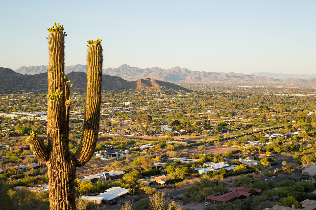 Desert view of Phoenix, Arizona with saguaro cactus and mountains in the background