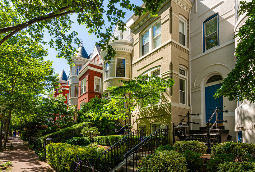 A row of colorful brick homes on a quiet tree-lined street in Georgetown. - moving to Washington DC