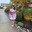 Joce R.