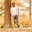 Jithin F.
