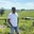 Pravin K.