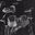 Shane A.