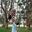 Mayur M.