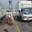 Gc removals P.