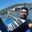 Arvinder S.