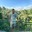 Faraz M.