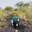 Sanket P.