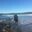 Grace T.