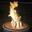 Kaz A.