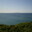 Sarah F.