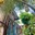 Joanne  L.
