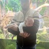 Mohamed A