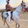 Nadim M