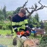 Kuba D