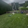 Shaun W
