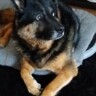 Max A
