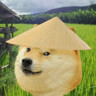 Zetong Z