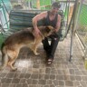 Alexander B