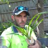 Tony H