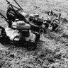 Michael western sydney lawn service  M