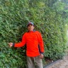 Mohammad T