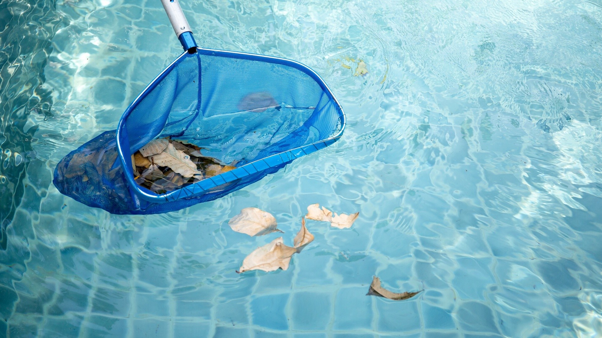 Pools, fans, and lawns: How Aussies are gearing up for the heat