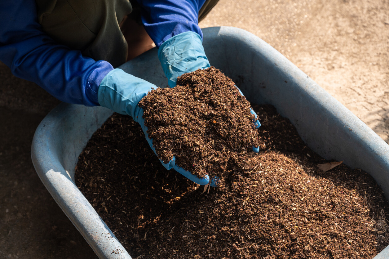 Hands holding soil